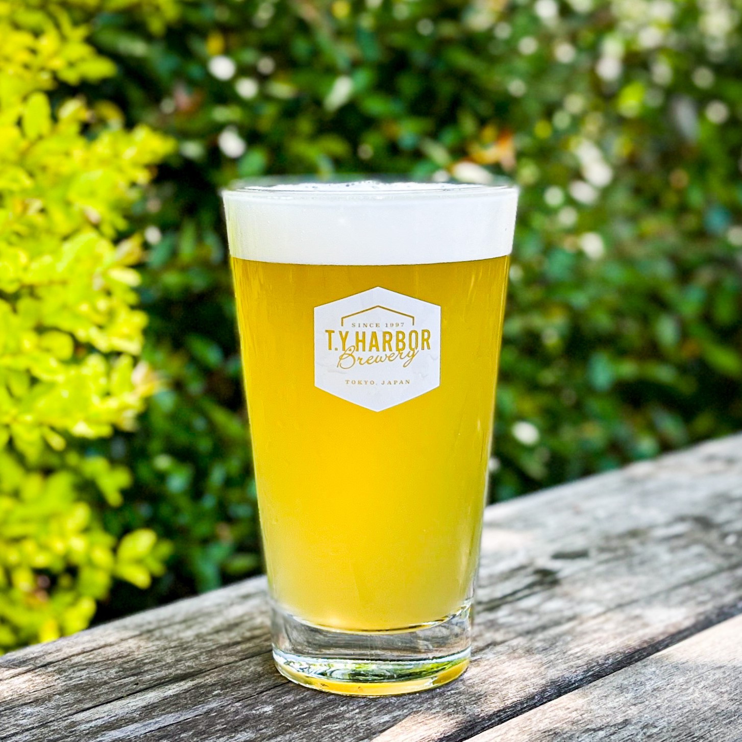 Sour Saison　／　サワーセゾン